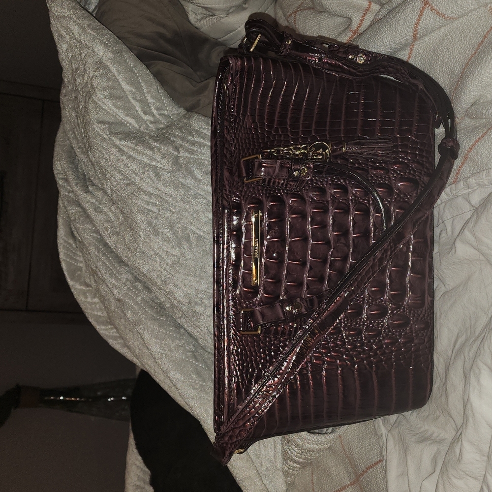 Brahmin Fig Mini Asher